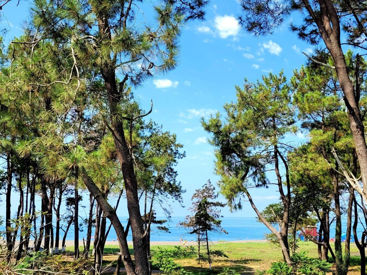 Beachfront Apartments ,,Kapro-One,, Ureki Dış mekan fotoğraf